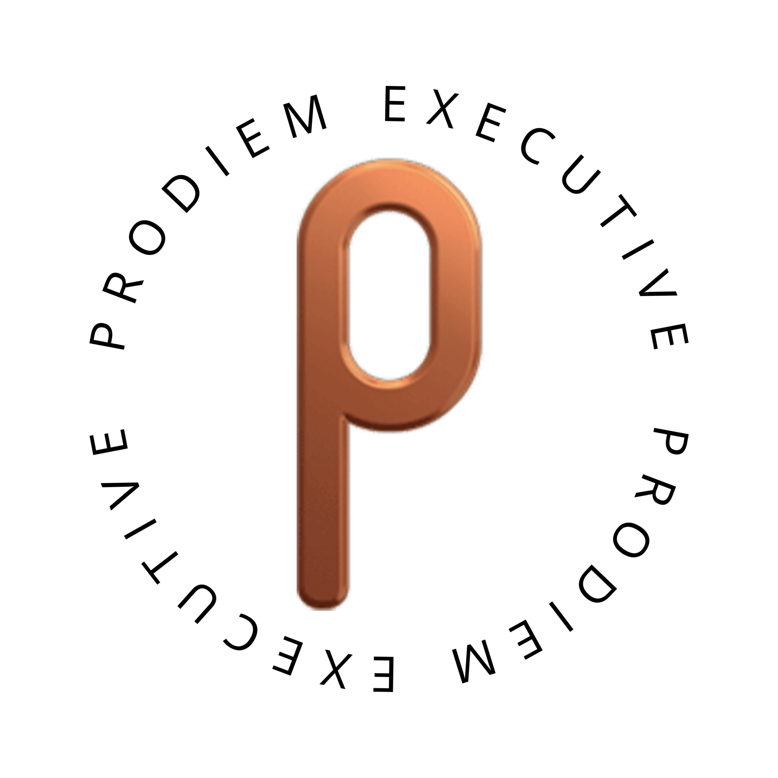 Prodiem Executive svart